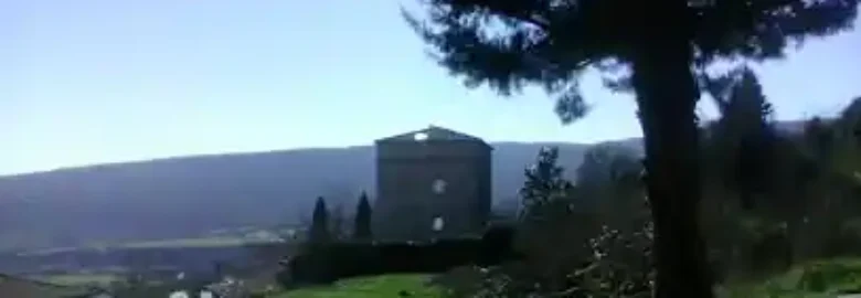 ADIESTRAMIENTO CANINO NAVARRA