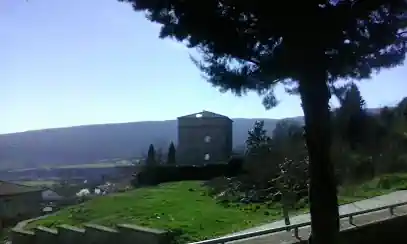 ADIESTRAMIENTO CANINO NAVARRA