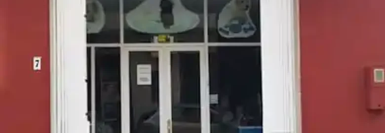 ANIMAL PLANET