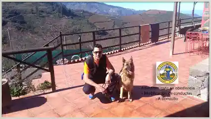 Adiestrador canino Las Palmas