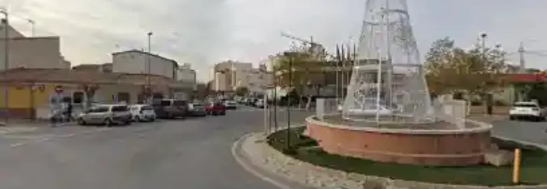 Adiestrador de perros en Alicante