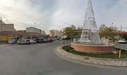 Adiestrador de perros en Alicante
