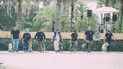 Adiestramiento Canino GADI