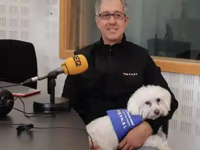 Adiestramiento Canino en Alcorcón. Mi perro también es mi familia