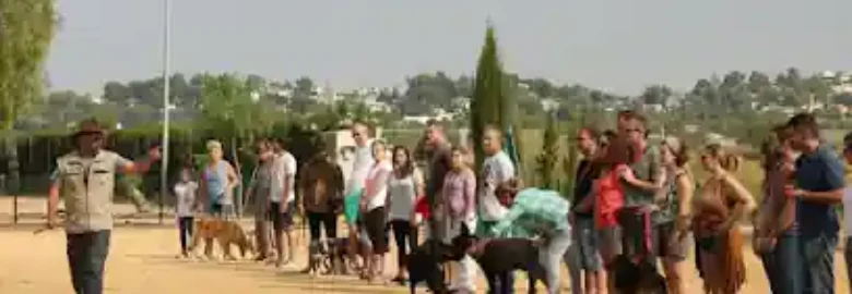 Adiestramiento Canino en Valencia GRUPO YAAKUN