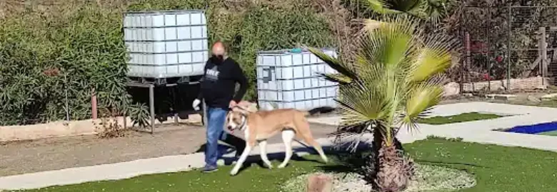 Adiestramiento canino Curro Castillo