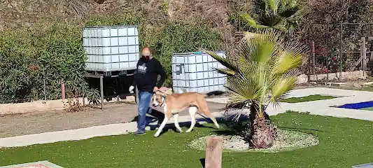Adiestramiento canino Curro Castillo