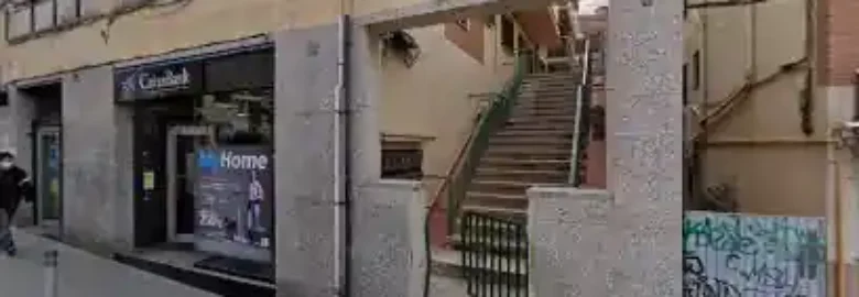 Adiestramiento canino Mario Lanero