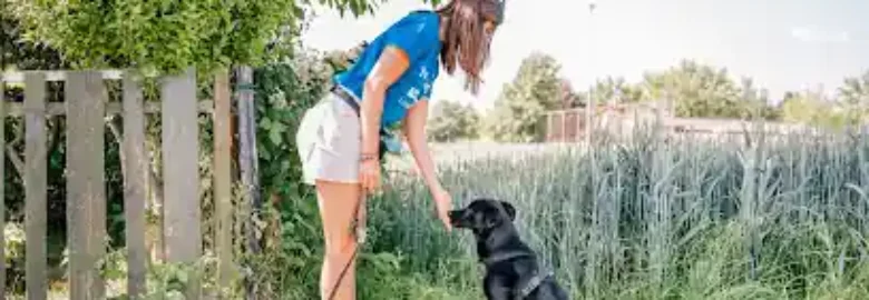 Adiestramiento canino Perruneando Alicante