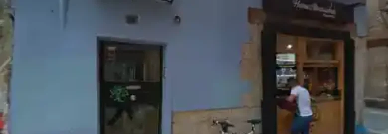 Adiestramiento canino Valencia | Adiestramiento perro en Valencia -Mimomimascota