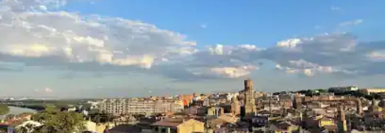 Adiestramiento y educación canina Bek9n