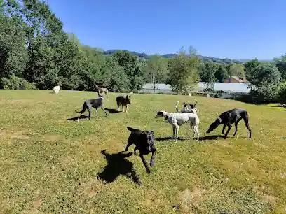 Amican Asturias Hotel Canino_VxuX