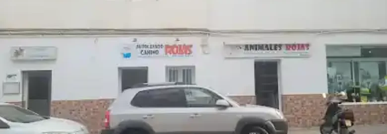 Animales Rojas