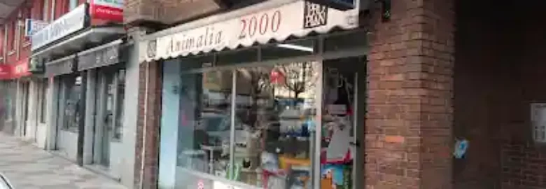 Animalia 2000