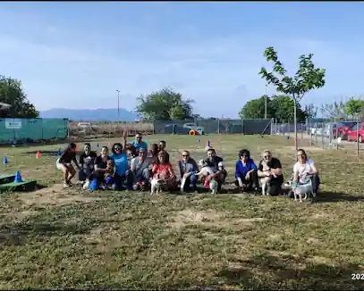 Arcanes Entrenamiento y Psicología Canina