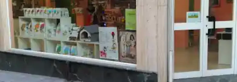 Artecan