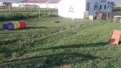 Asociación Canina Albadekán