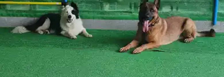 Asociación Canina C.K9