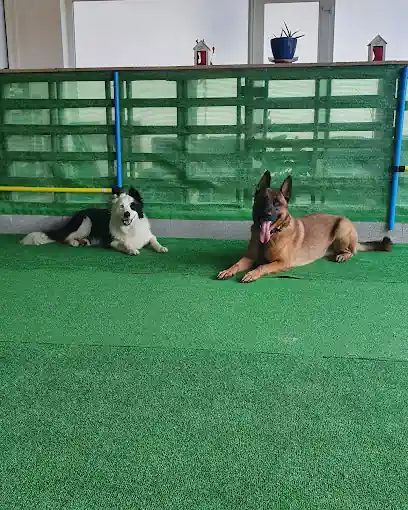 Asociación Canina C.K9
