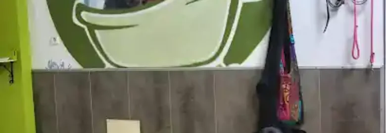 Autolavado de mascotas ardo