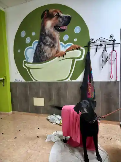 Autolavado de mascotas ardo