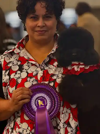 Avenida Poodle