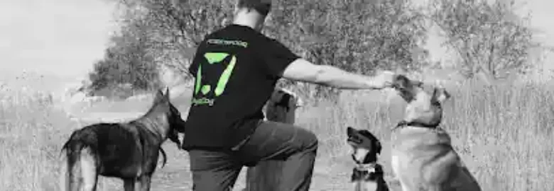 AyaDog