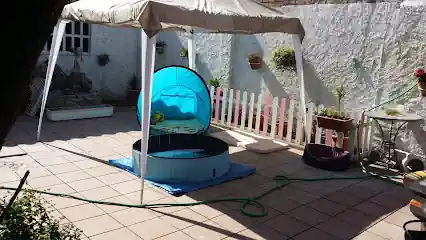 B.E.S.T. Educació Canina en Positiu i Etologia