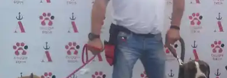 Balanced Dogs Mallorca Adiestramiento Canino
