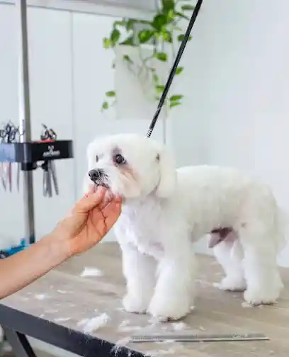 Bambú Peluquería Canina