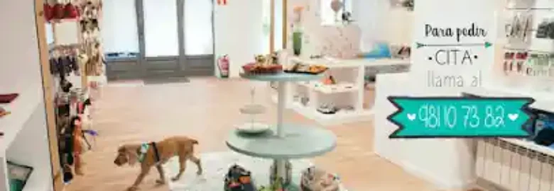 Baraka Animal – Boutique Peluqueria Canina & Spa