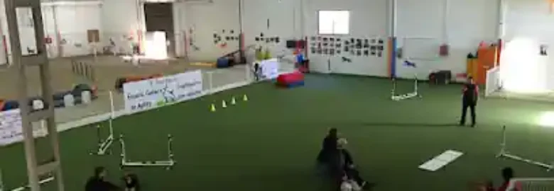 Bicho Peludo