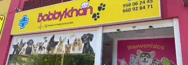 Bobbykhan mascotas