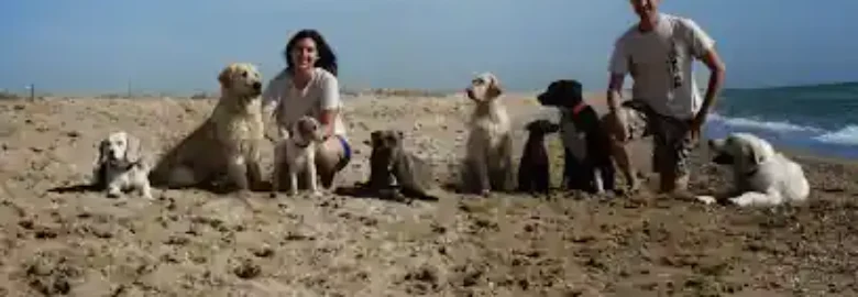 Boncan Educación Canina