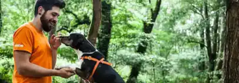 Budadog