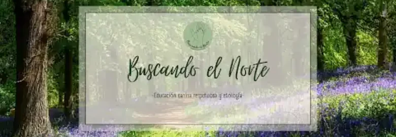 Buscando el Norte educación canina