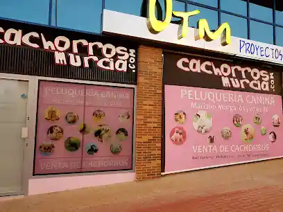 Cachorros Murcia