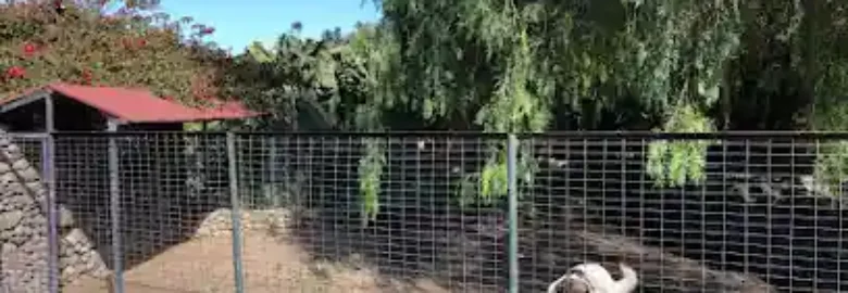 CanaryCan