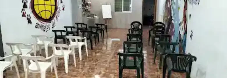 Canes de Xátiva