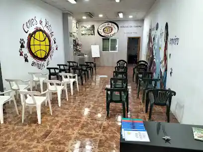 Canes de Xátiva