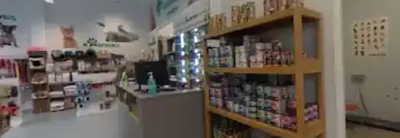 Canexion