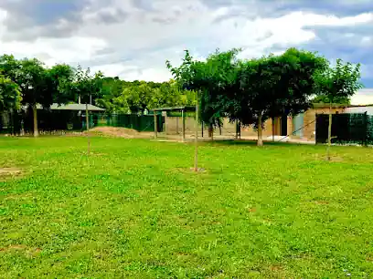 CaniSapiens