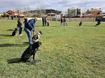 Canis Club Leon