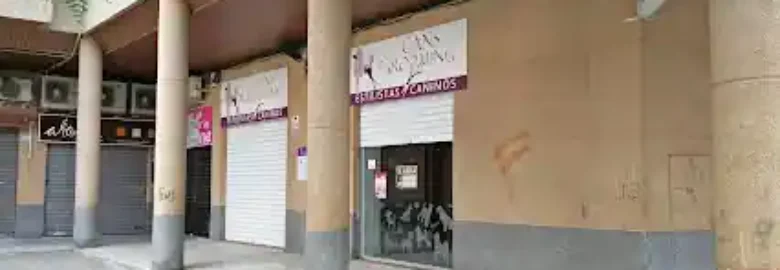 Cans Grooming estilistas caninos