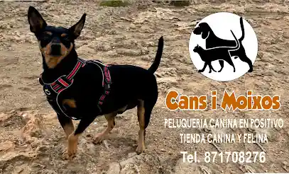 Cans i moixos
