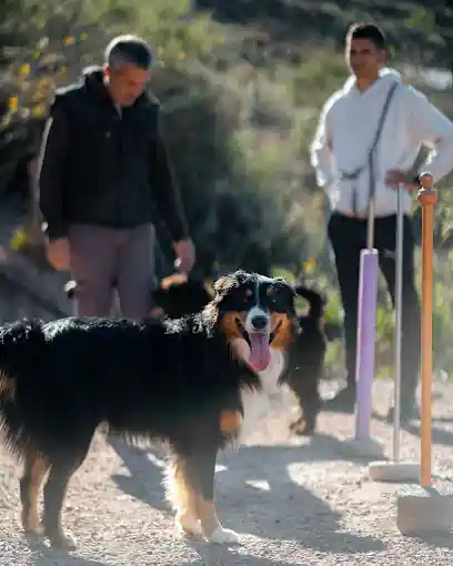 Casa Lobo - Dog's Hotel & Resorts_MBDa