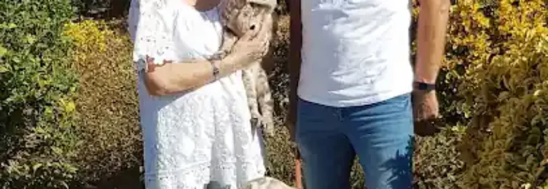 Cat and Dog World