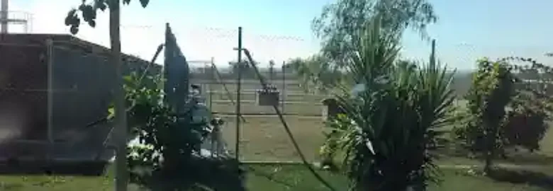 Cecasur