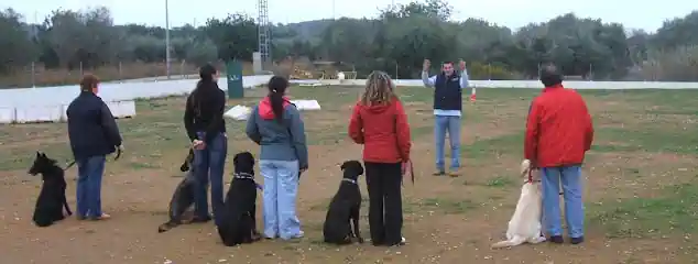 Centre dels Animals Arasa – Botiga i Perruqueria