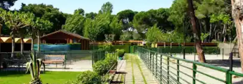 Centro Canino Acc